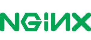 NGINX Server