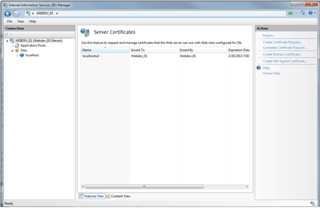 self-sign certificate activated in iis