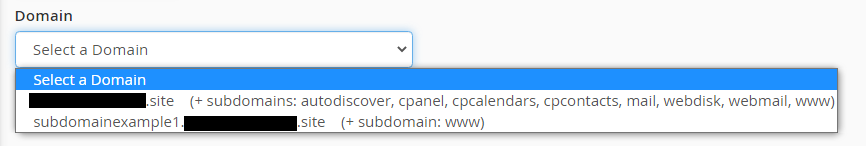 select domain from dropdown