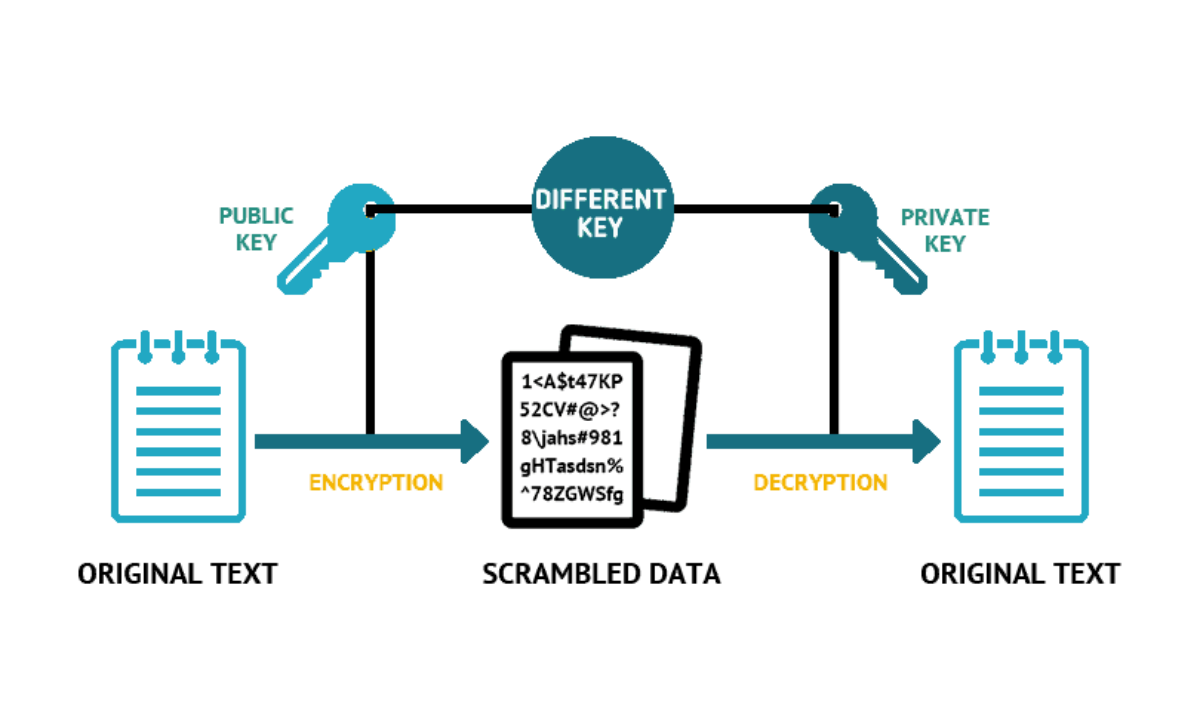 Публичный ключ SSL. Пример приватного SSL ключа. Public Key private Key. Спуфинг SSL/TLS схема. Private ssl